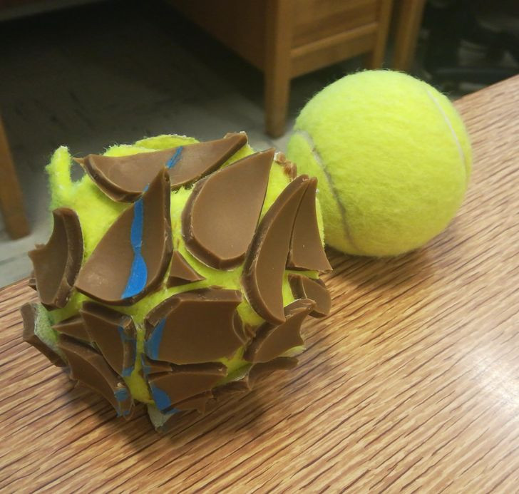 Thử thách 10 giây: Bạn đã đói đến mức nghĩ đây đều là đồ ăn chưa? ảnh 11