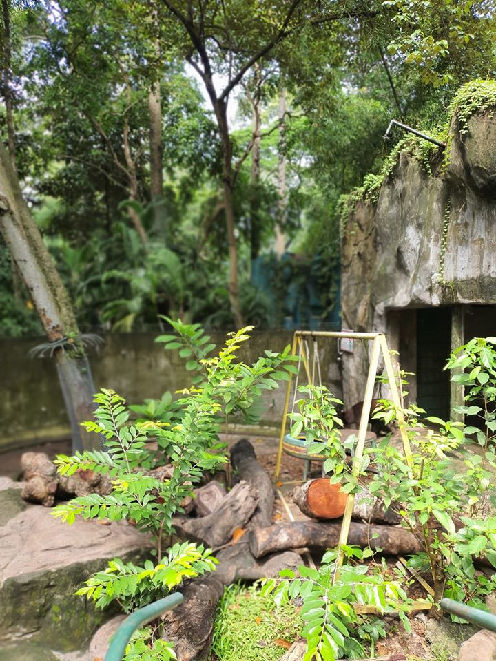 Thảo Cầm Viên Sài Gòn lên tiếng phản bác sau khi bị “tố” ngược đãi động vật ảnh 4