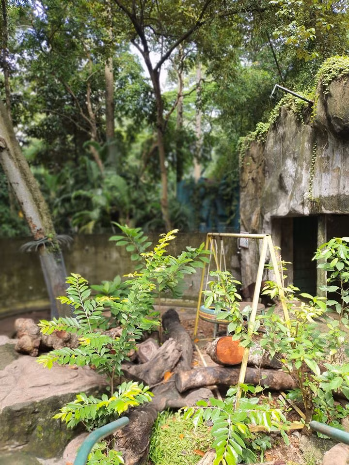 Thảo Cầm Viên Sài Gòn lên tiếng phản bác sau khi bị “tố” ngược đãi động vật ảnh 4