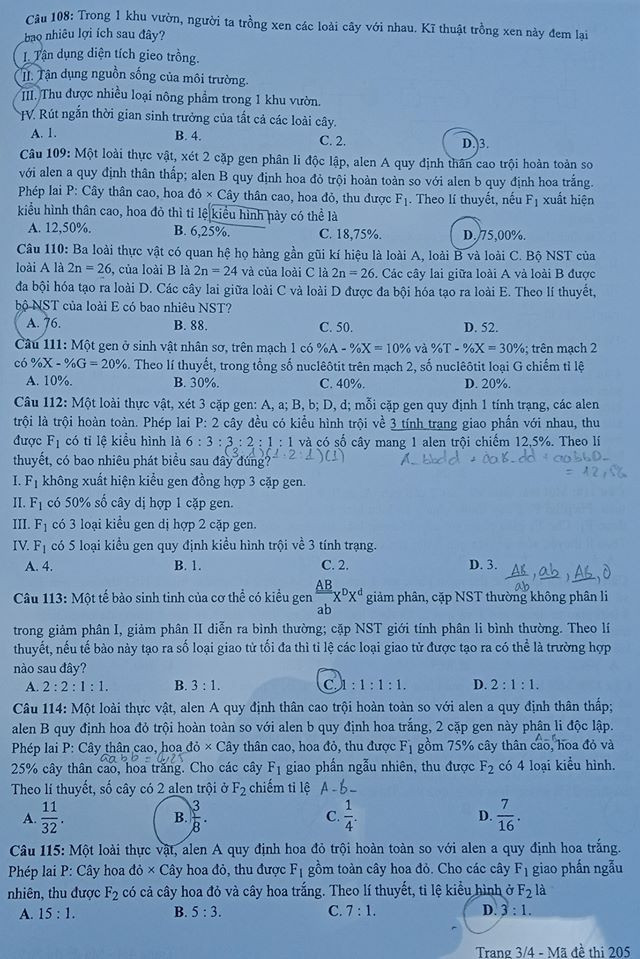 So ngay đáp án bài thi tổ hợp Khoa học Tự nhiên của kỳ thi Tốt nghiệp THPT 2020 ảnh 4
