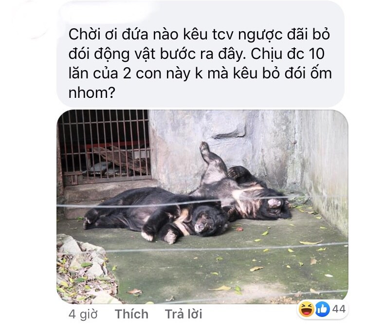 Thảo Cầm Viên Sài Gòn lên tiếng phản bác sau khi bị “tố” ngược đãi động vật ảnh 7