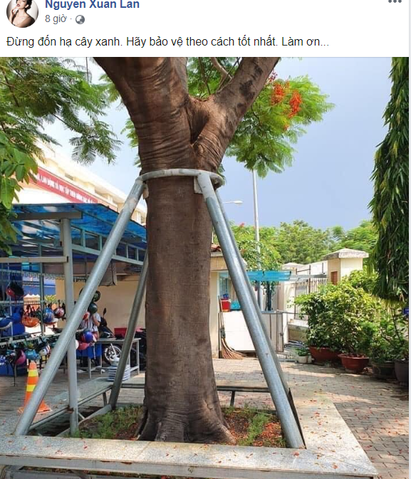 Ca sĩ Cẩm Vân nghẹn ngào đón sinh nhật tuổi 61 và xa cách gia đình ảnh 5