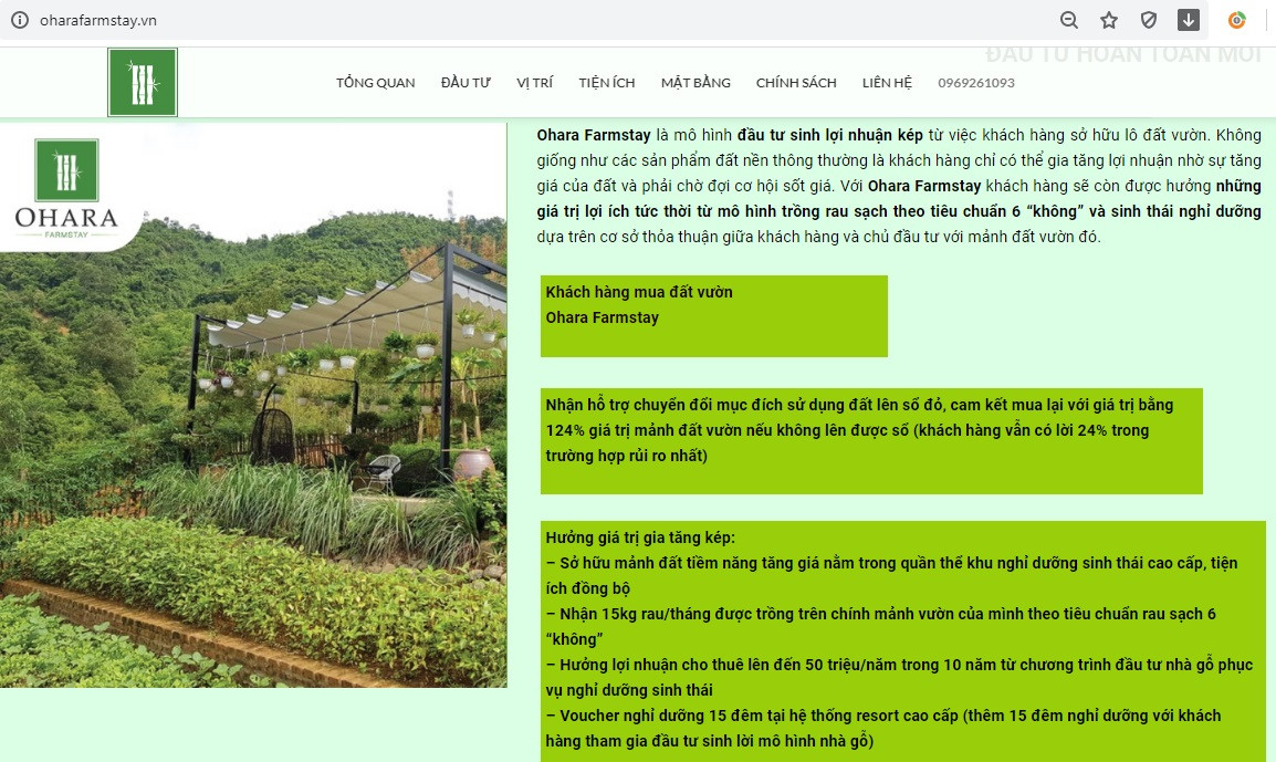 Lộ khoảng trống pháp lý, Thủ tướng yêu cầu 4 Bộ 'quản chặt' mô hình farmstay ảnh 2