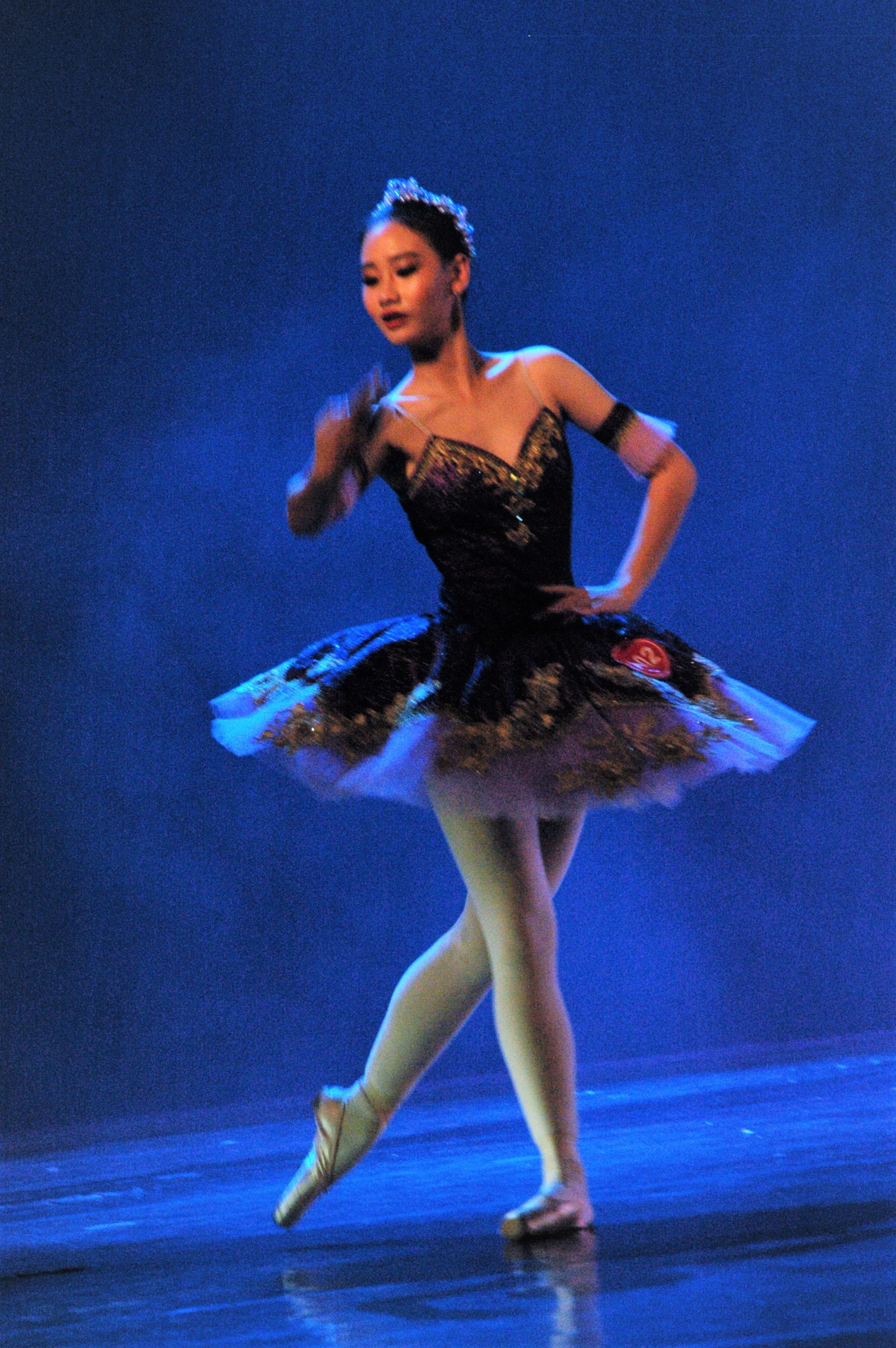 Những hình ảnh độc lạ trong Cuộc thi Tài năng biểu diễn Múa 2020 ảnh 2