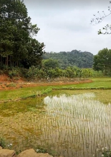 Thủ môn Bùi Tiến Dũng đưa bạn gái Ukraina về quê đón Tết ảnh 3