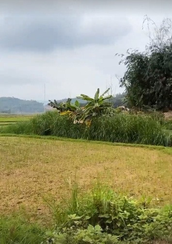 Thủ môn Bùi Tiến Dũng đưa bạn gái Ukraina về quê đón Tết ảnh 4