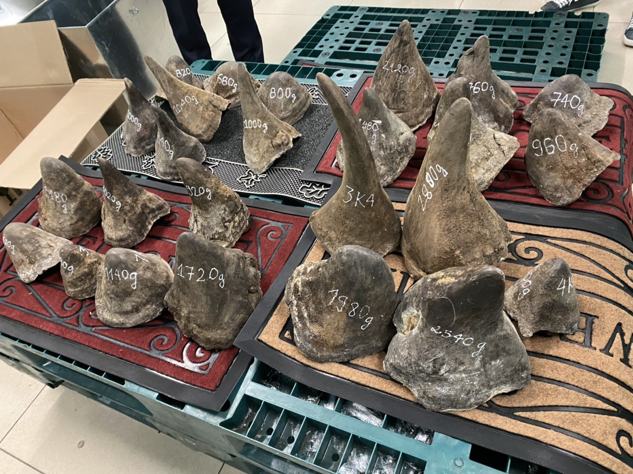 Phát hiện lô sừng tê giác hơn 90kg nhập lậu qua sân bay Tân Sơn Nhất ảnh 1