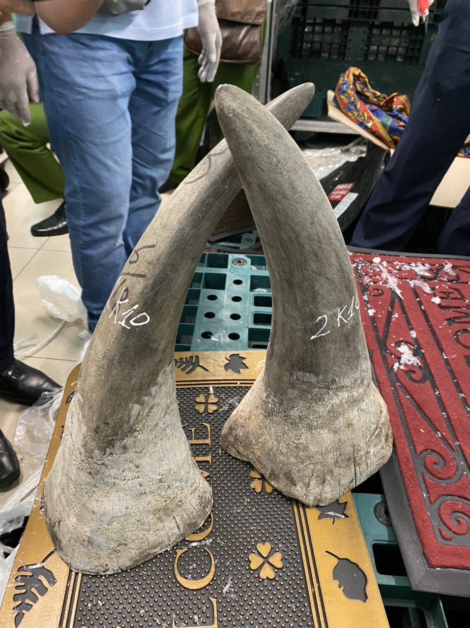 Phát hiện lô sừng tê giác hơn 90kg nhập lậu qua sân bay Tân Sơn Nhất ảnh 2