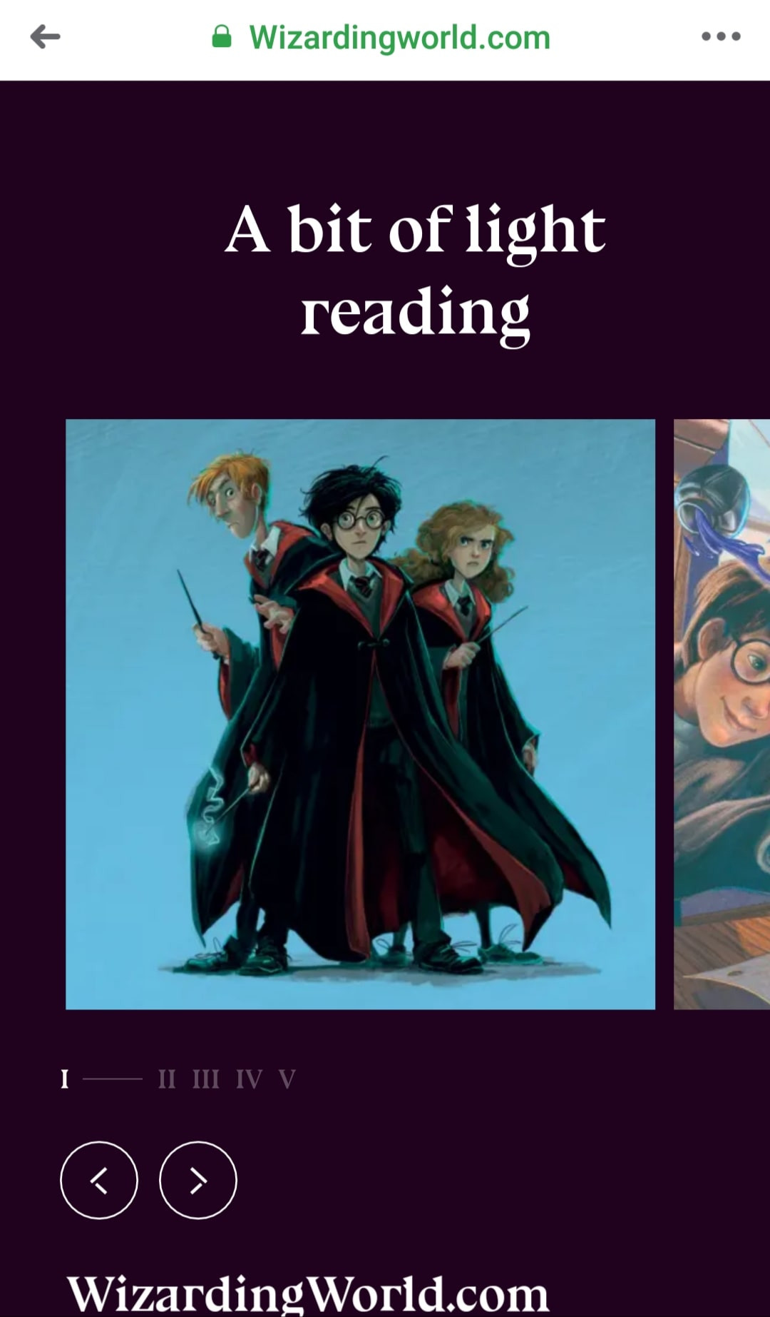 Khi loạt trường lớp đóng cửa, học viện phù thủy Hogwarts lại “mở cổng” đón học sinh ảnh 3