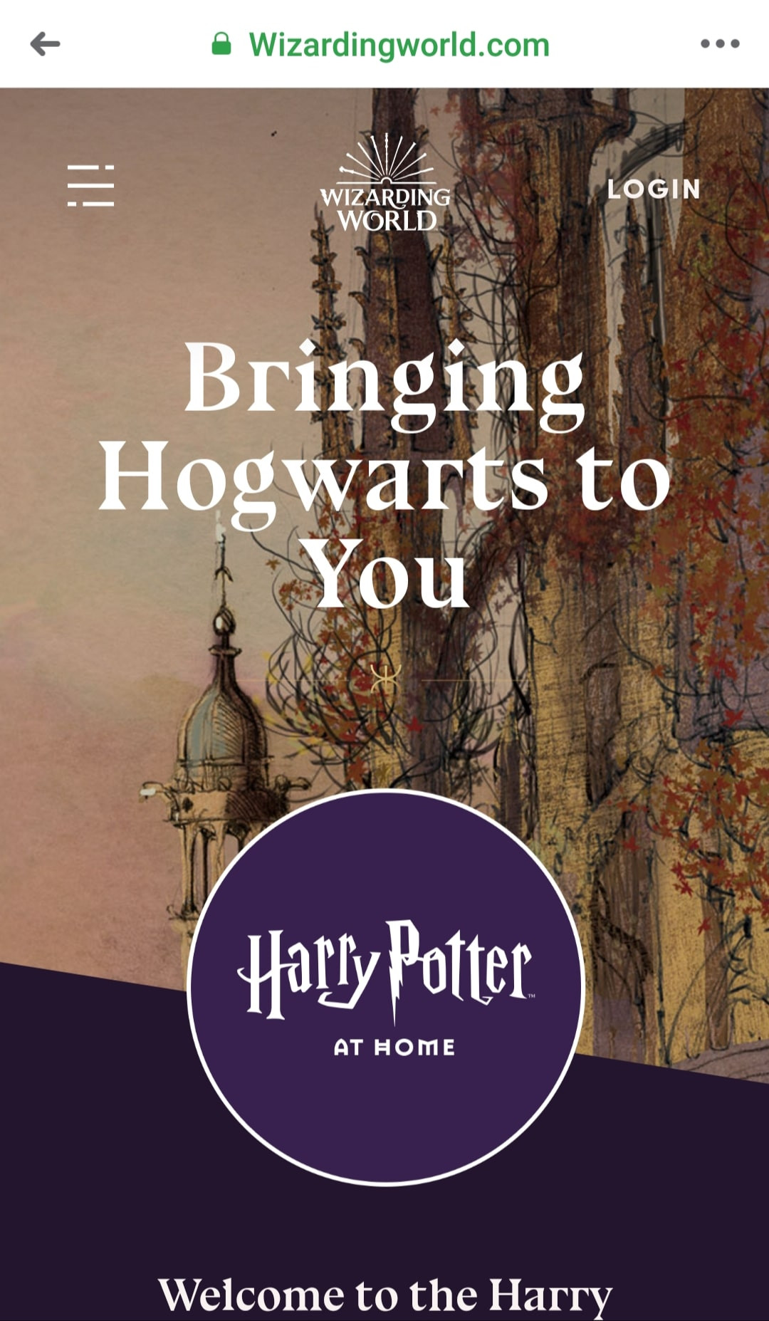 Khi loạt trường lớp đóng cửa, học viện phù thủy Hogwarts lại “mở cổng” đón học sinh ảnh 1