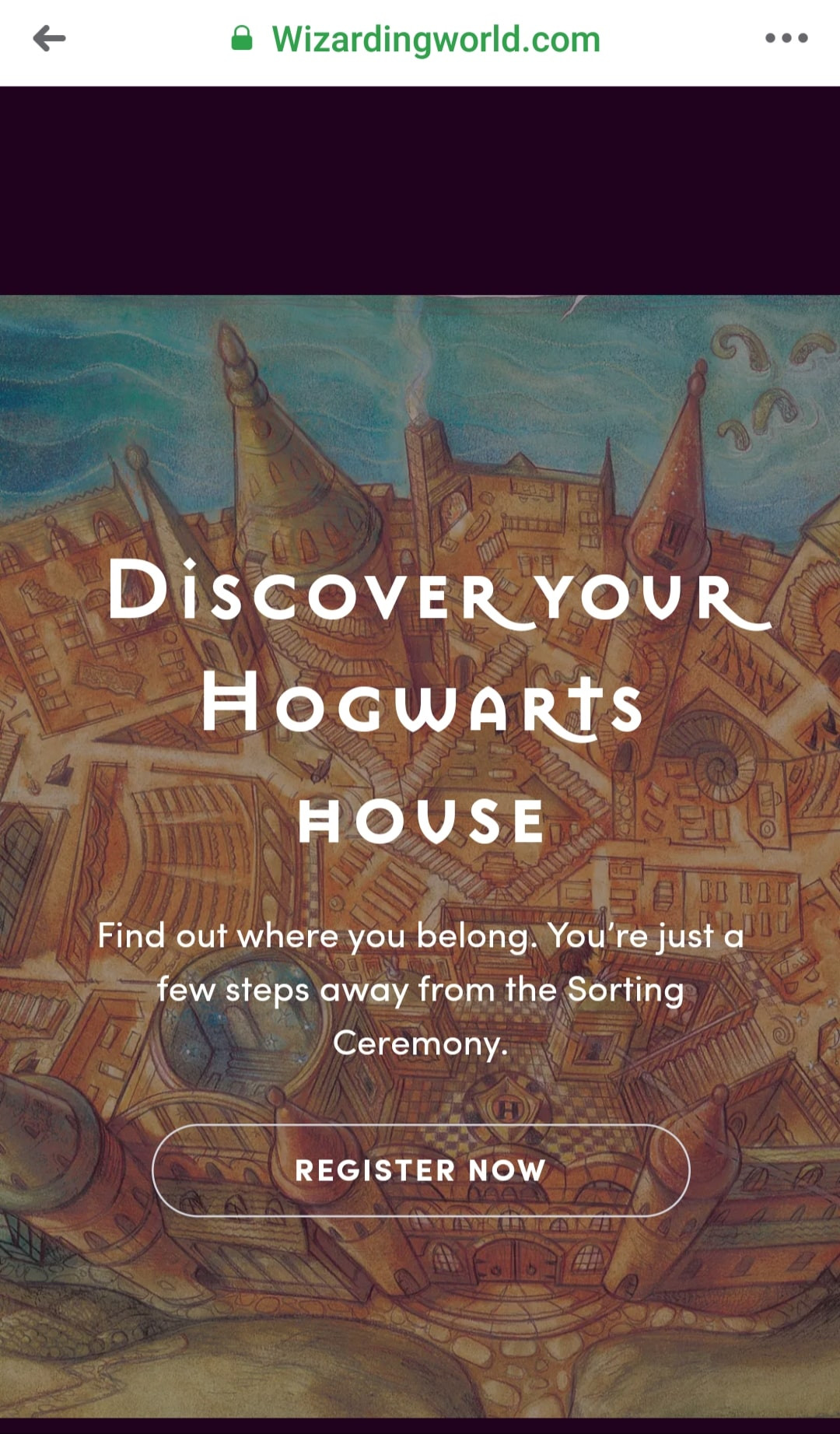 Khi loạt trường lớp đóng cửa, học viện phù thủy Hogwarts lại “mở cổng” đón học sinh ảnh 2