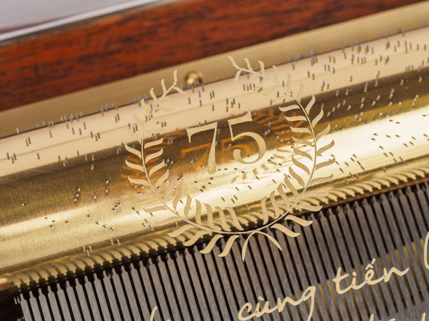 Quốc ca Việt Nam xuất hiện trên hộp nhạc Thụy Sĩ mạ vàng ảnh 2