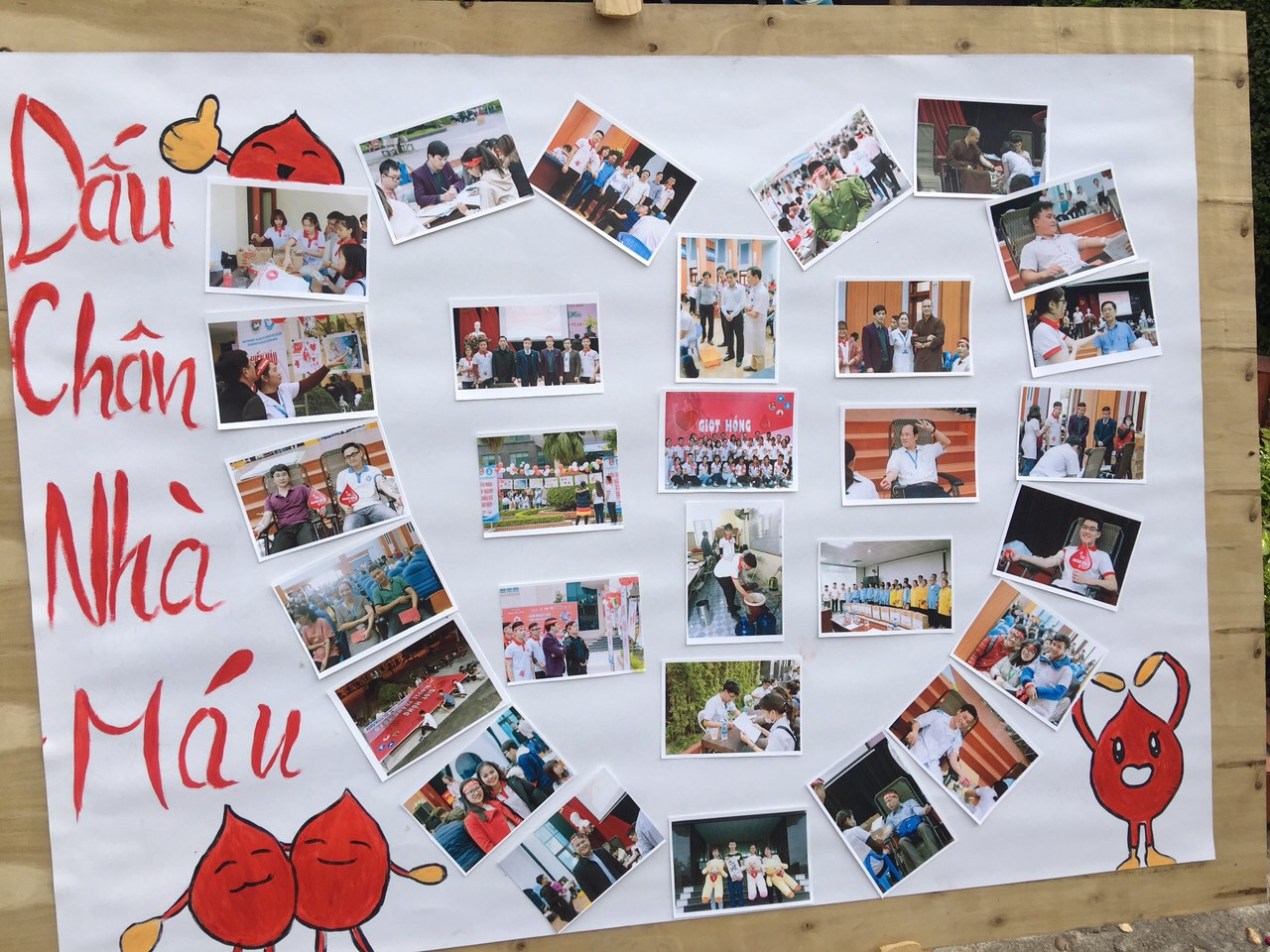 Nhiều thầy thuốc trẻ hiến máu Chủ nhật Đỏ ở Thái Bình ảnh 1