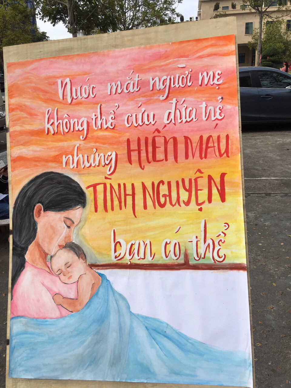 Nhiều thầy thuốc trẻ hiến máu Chủ nhật Đỏ ở Thái Bình ảnh 2