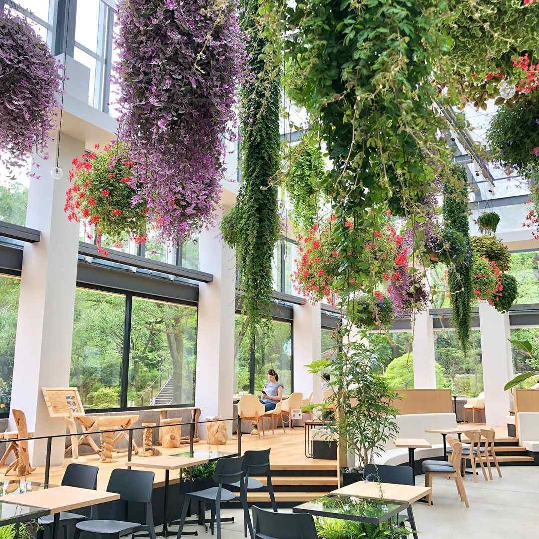 Bên trong cửa hàng Starbucks nhà kính ngàn hoa “đốn tim” các tín đồ sống ảo ở Nhật Bản ảnh 6