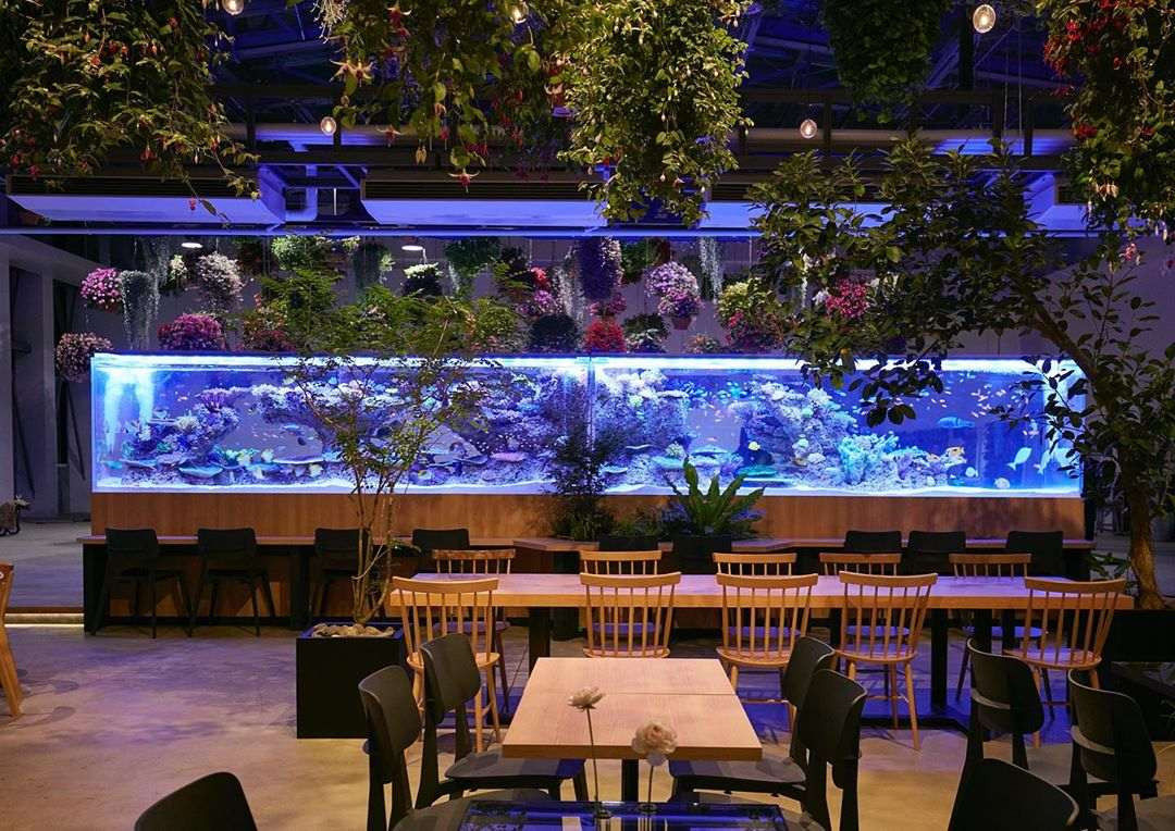 Bên trong cửa hàng Starbucks nhà kính ngàn hoa “đốn tim” các tín đồ sống ảo ở Nhật Bản ảnh 5