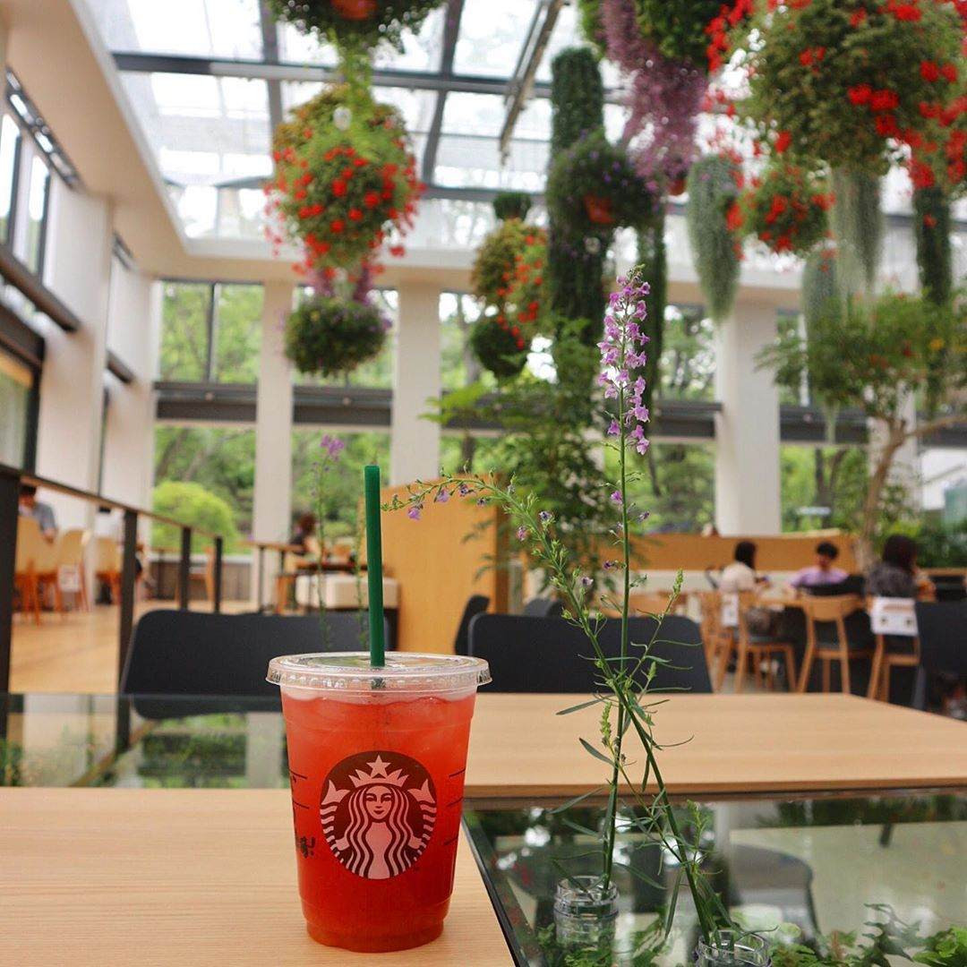 Bên trong cửa hàng Starbucks nhà kính ngàn hoa “đốn tim” các tín đồ sống ảo ở Nhật Bản ảnh 9