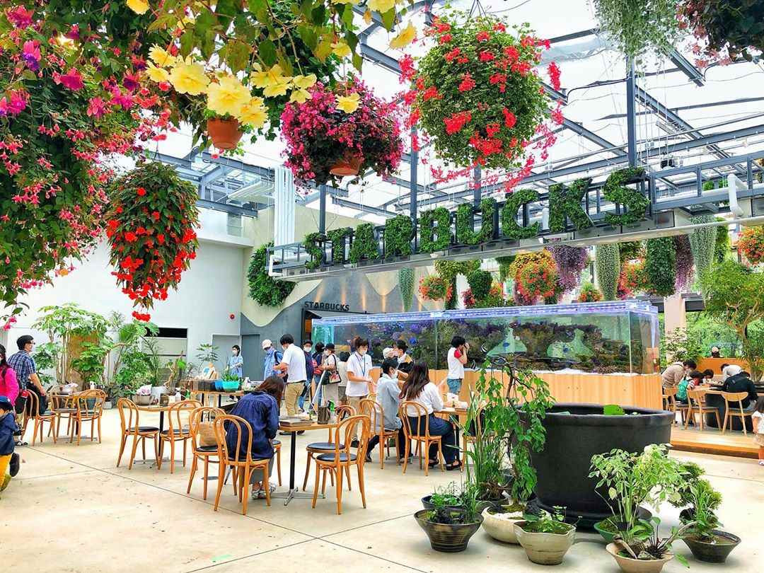 Bên trong cửa hàng Starbucks nhà kính ngàn hoa “đốn tim” các tín đồ sống ảo ở Nhật Bản ảnh 3