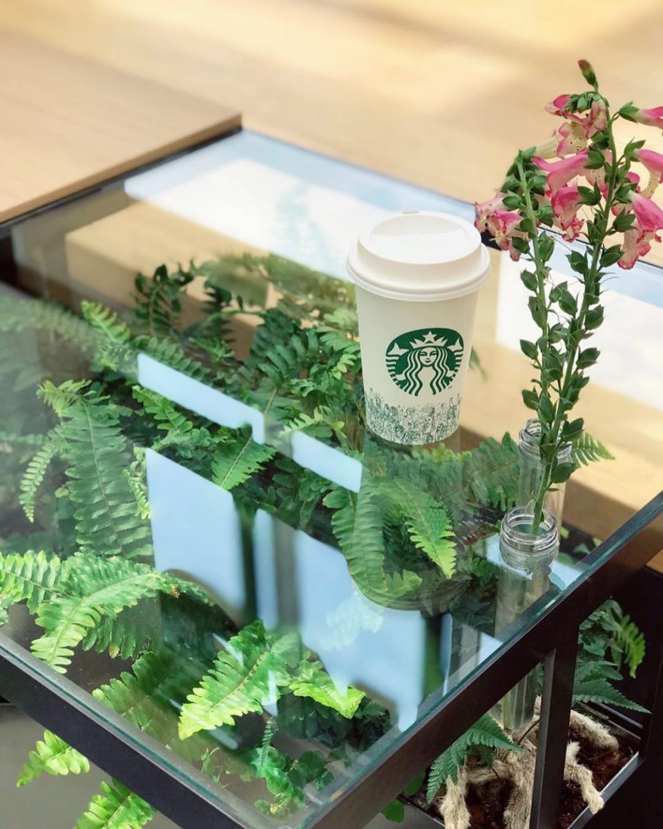 Bên trong cửa hàng Starbucks nhà kính ngàn hoa “đốn tim” các tín đồ sống ảo ở Nhật Bản ảnh 7