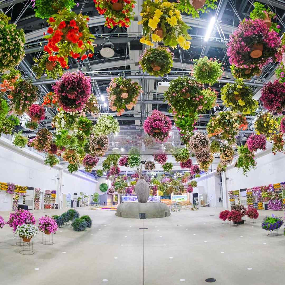 Bên trong cửa hàng Starbucks nhà kính ngàn hoa “đốn tim” các tín đồ sống ảo ở Nhật Bản ảnh 2