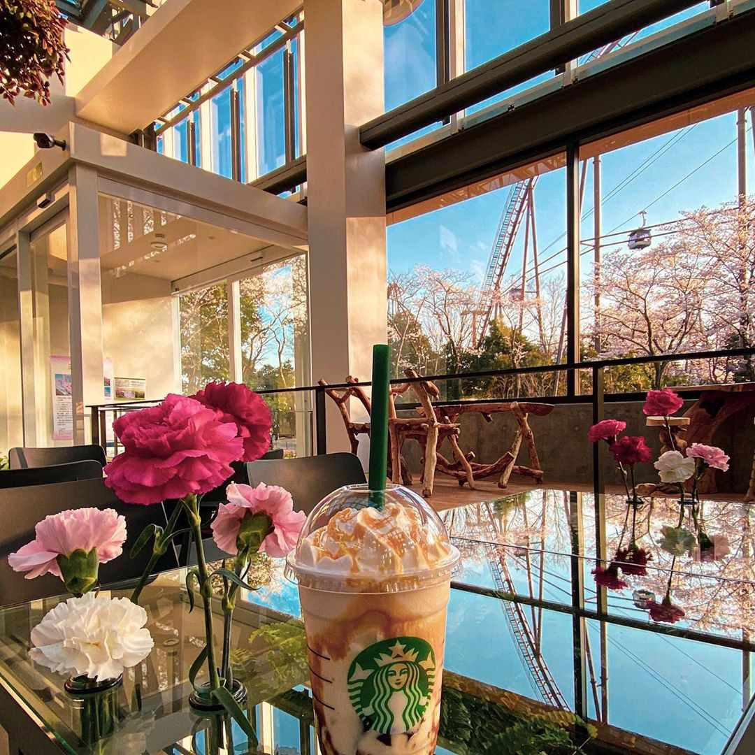 Bên trong cửa hàng Starbucks nhà kính ngàn hoa “đốn tim” các tín đồ sống ảo ở Nhật Bản ảnh 10
