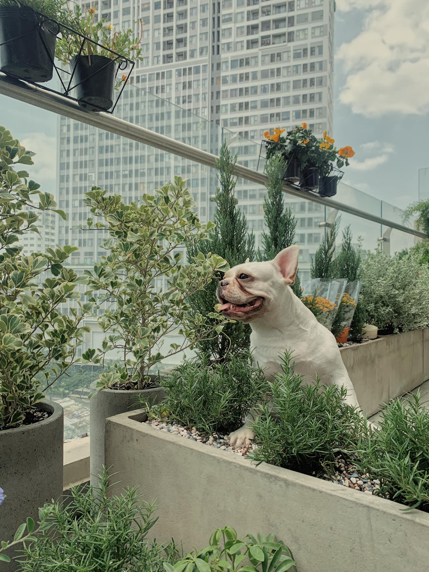 Chân dung Châu Bùi - cô gái duy nhất trong danh sách follow của “bad boy” nổi tiếng Binz ảnh 4