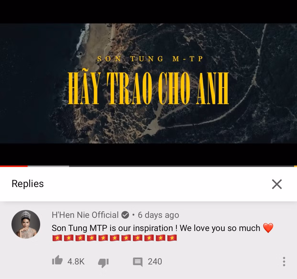 Karik, H'Hen Niê bảo vệ Sơn Tùng trước làn sóng bắt nạt vô lý của netizen Hàn ảnh 7