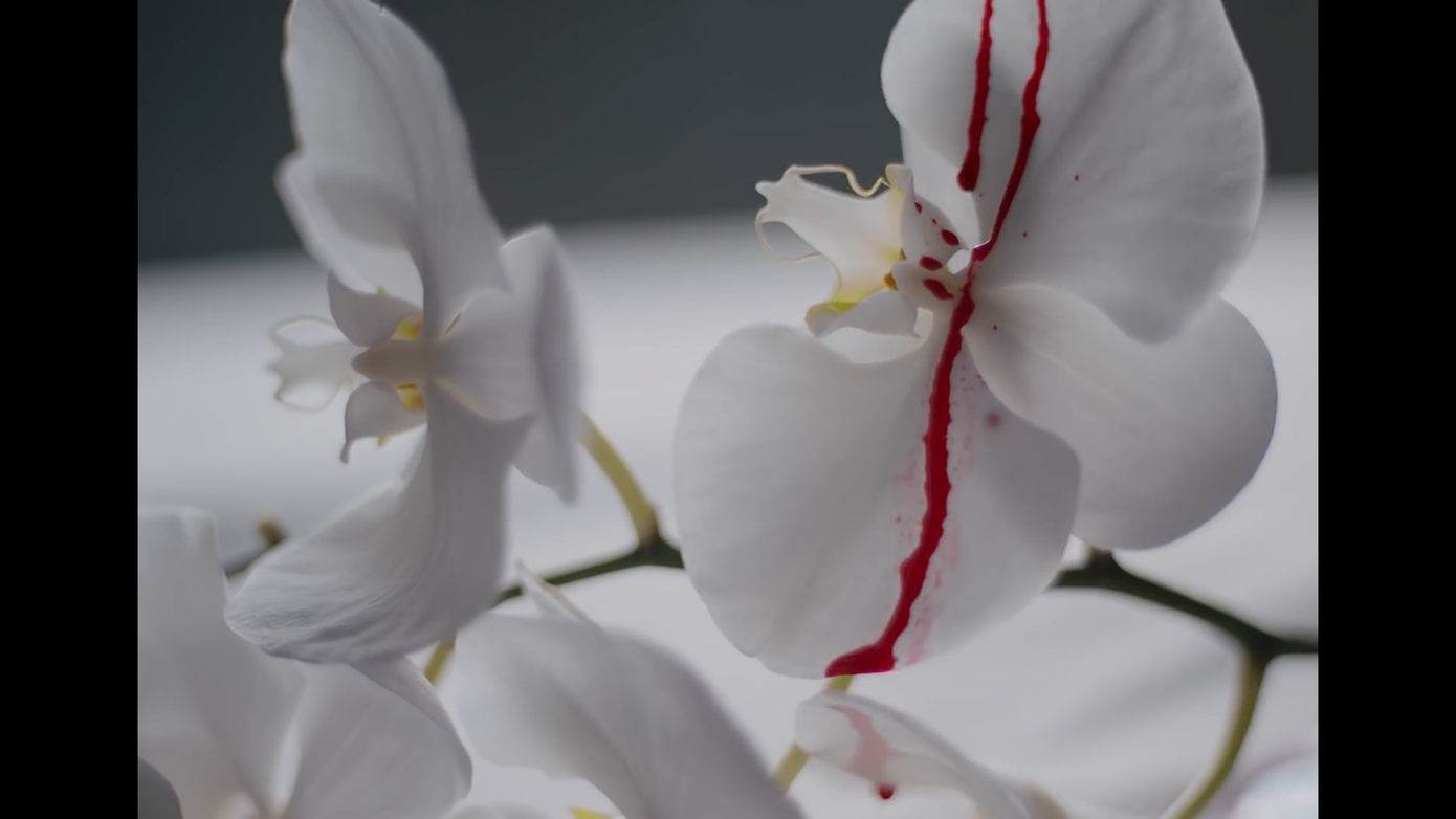 MV mới của Gil Lê: Concept đã mắt, từng câu của bài hát như “xoáy vào tim” hội thất tình ảnh 4