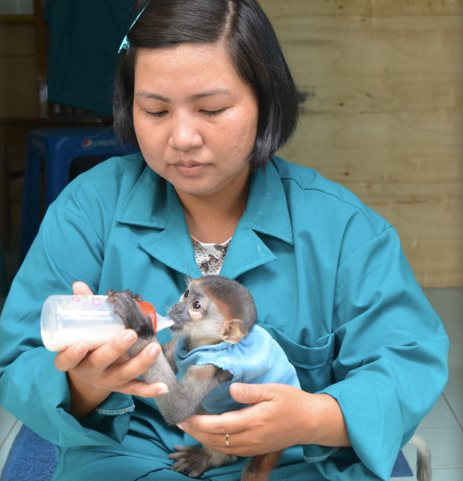 TP.HCM: Thảo Cầm Viên gặp khó khăn, kêu gọi cộng đồng chung tay hỗ trợ hơn 1500 động vật ảnh 4