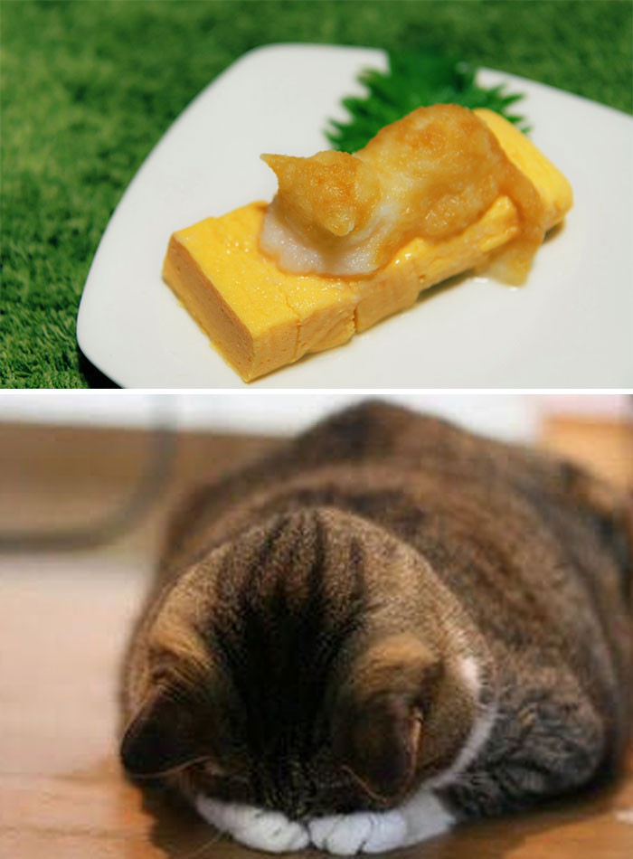 Kyaraben - Từ phương pháp trị biếng ăn ở trẻ nhỏ tới môn nghệ thuật nổi tiếng toàn cầu ảnh 3