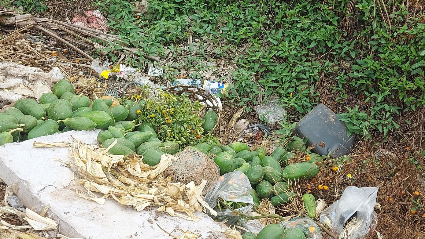 Nỗi đau sau Tết: Cây cảnh ế đầy vườn, nông dân ôm nợ ảnh 8