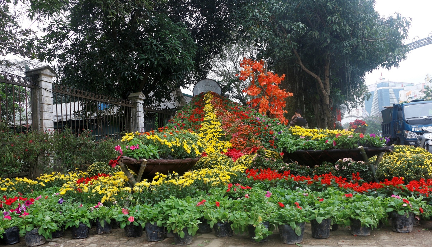 Rực rỡ đường hoa thành phố Vinh những ngày áp tết ảnh 2