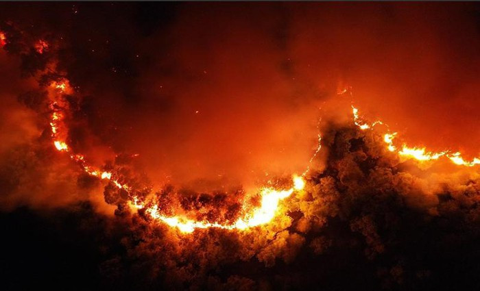 Phạt 7 năm tù người đàn ông châm lửa đốt rác làm cháy rừng lớn nhất Hà Tĩnh ảnh 2