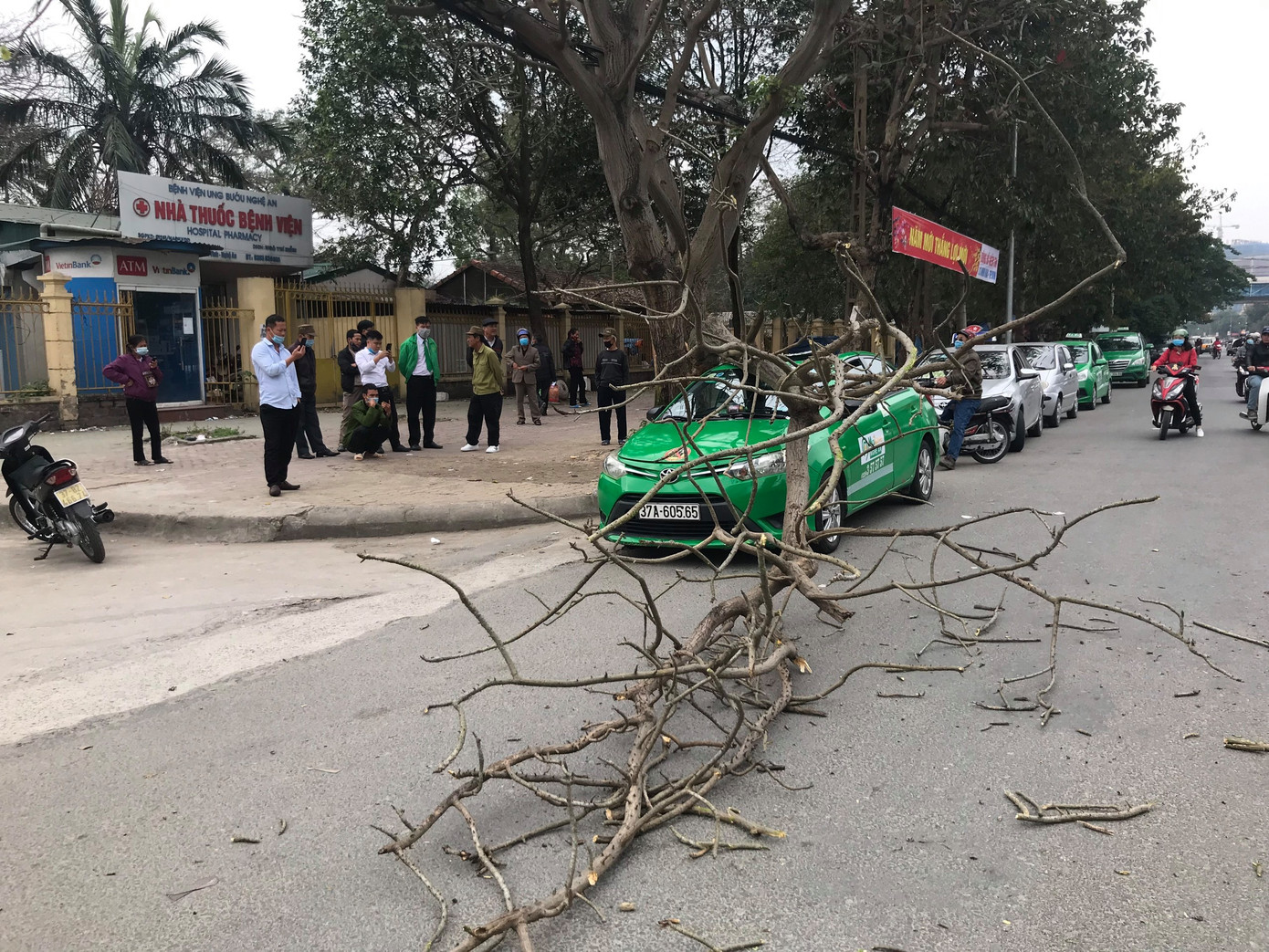 Kinh hoàng cành cây bất ngờ đè bẹp dúm taxi ảnh 2