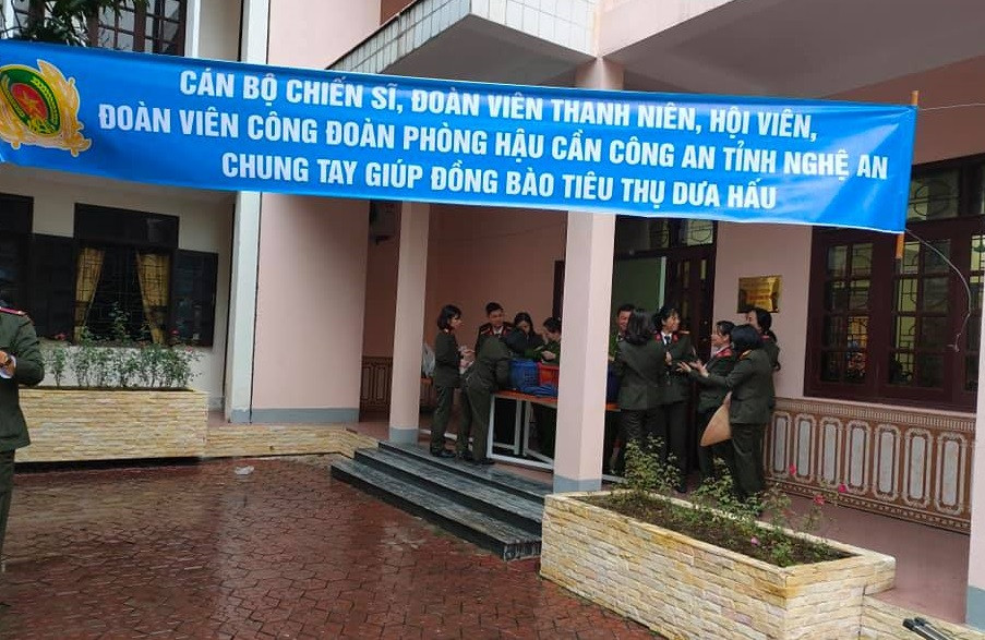 Tuổi trẻ Nghệ An chung tay 'giải cứu' hàng chục tấn dưa hấu ảnh 10