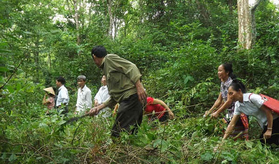 Nghệ An đề nghị cấp hơn 11 tấn gạo hỗ trợ hộ nghèo chăm sóc, bảo vệ rừng ảnh 1