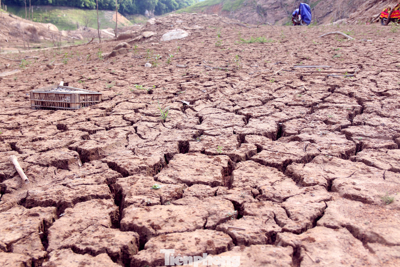 Hạn hán nghiêm trọng, học trò biên giới tan trường lại lặn lội vào rừng tìm nước ảnh 10