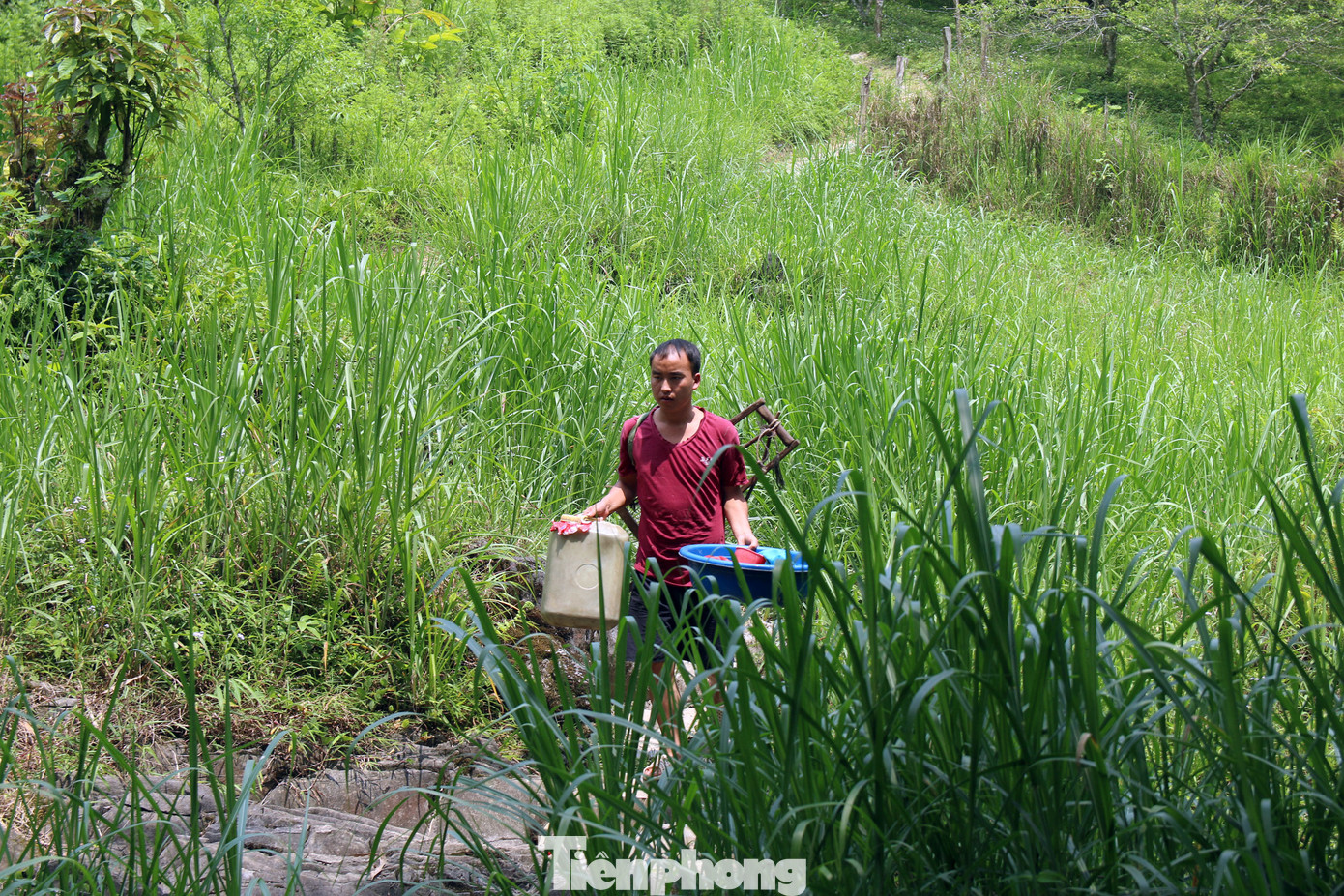 Hạn hán nghiêm trọng, học trò biên giới tan trường lại lặn lội vào rừng tìm nước ảnh 6