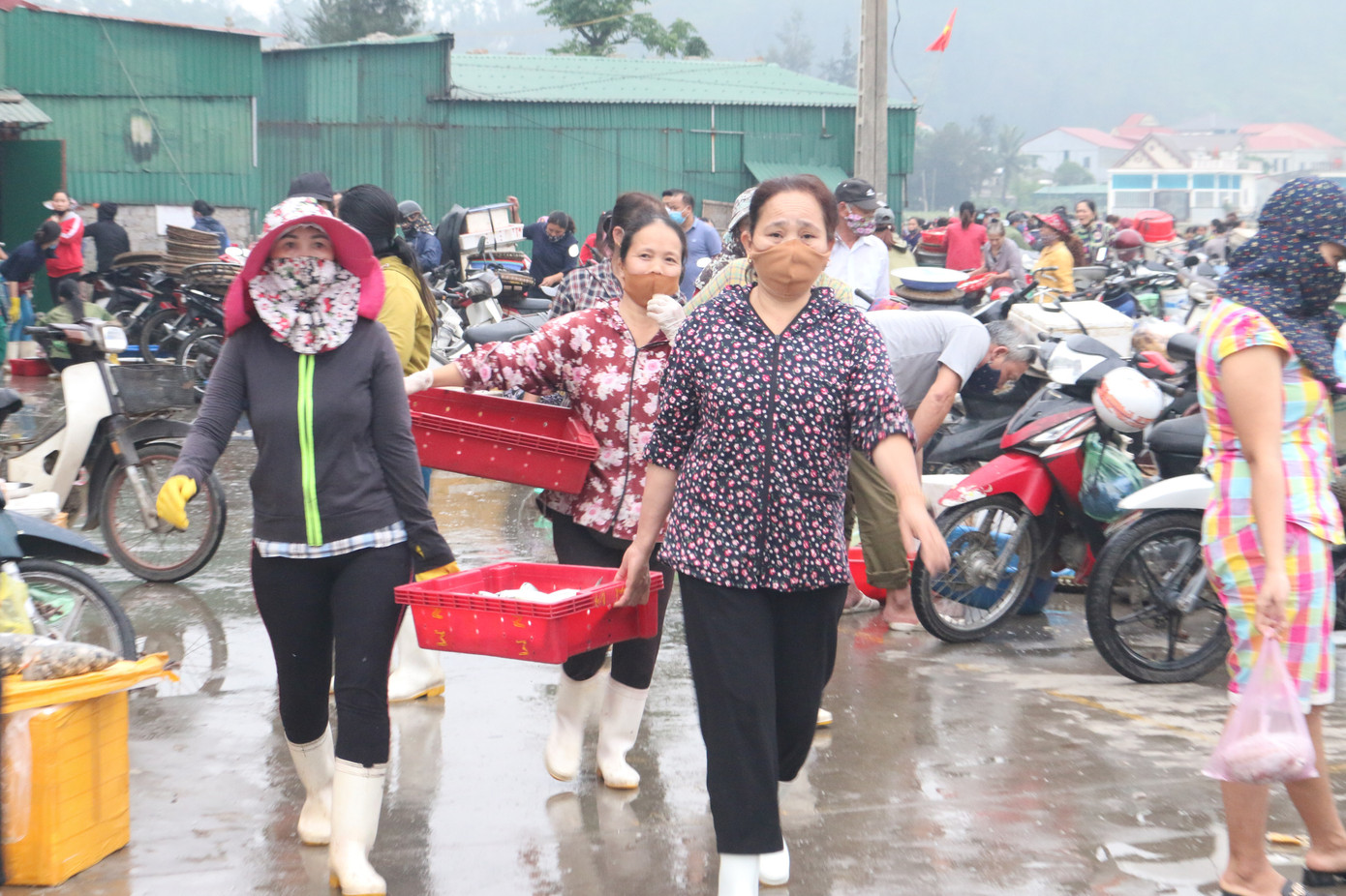 Nhịp sống nơi cảng cá bình yên mỗi chuyến thuyền về cập bến ảnh 5