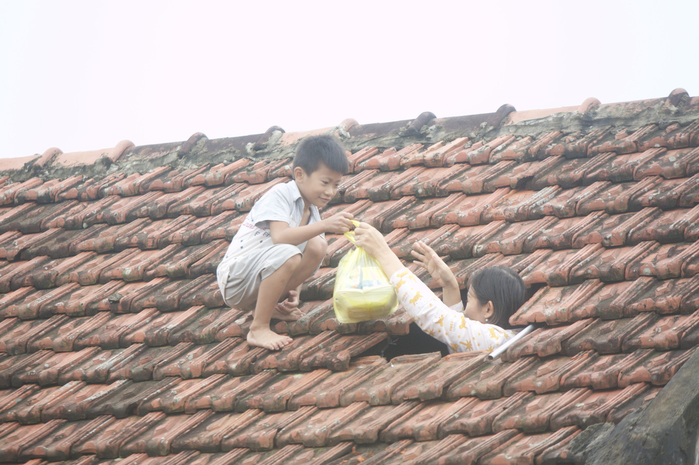 Sống trên nóc nhà, người dân Quảng Bình khắc khoải chờ lũ rút ảnh 1