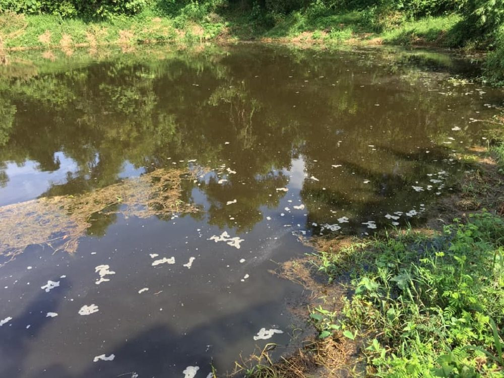 UBND tỉnh Nghệ An chỉ đạo xử lý ô nhiễm tại trại lợn Công ty Đại Thành Lộc ảnh 2