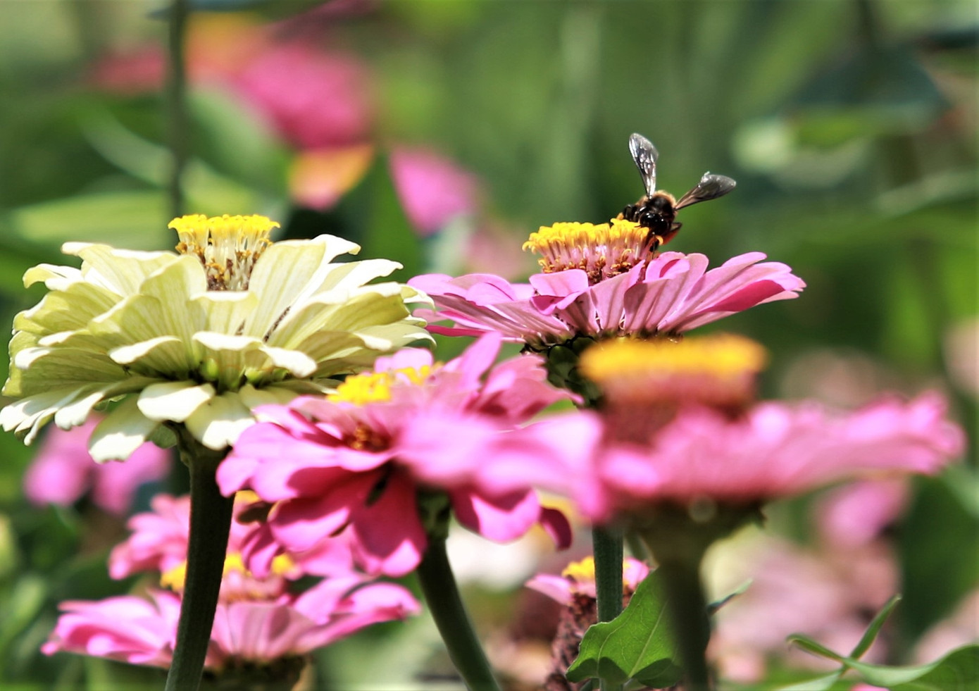 Bình dị kỷ vật trong ngôi nhà tranh thuở ấu thơ của Bác ảnh 14