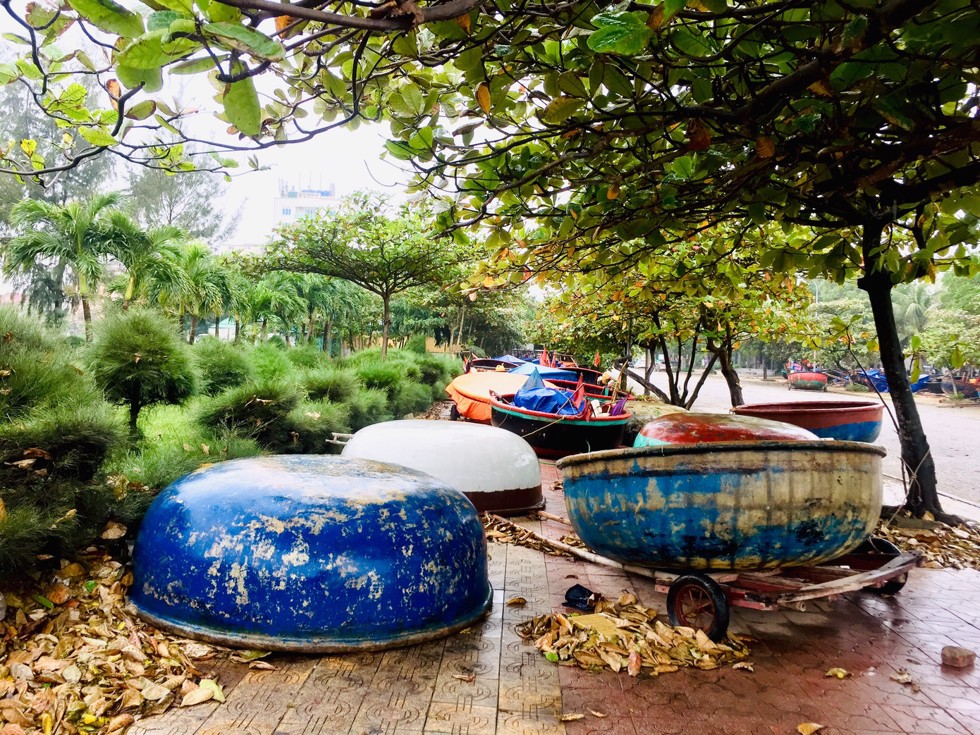 Ngư dân Nghệ An tập trung ứng phó bão số 7 ảnh 2