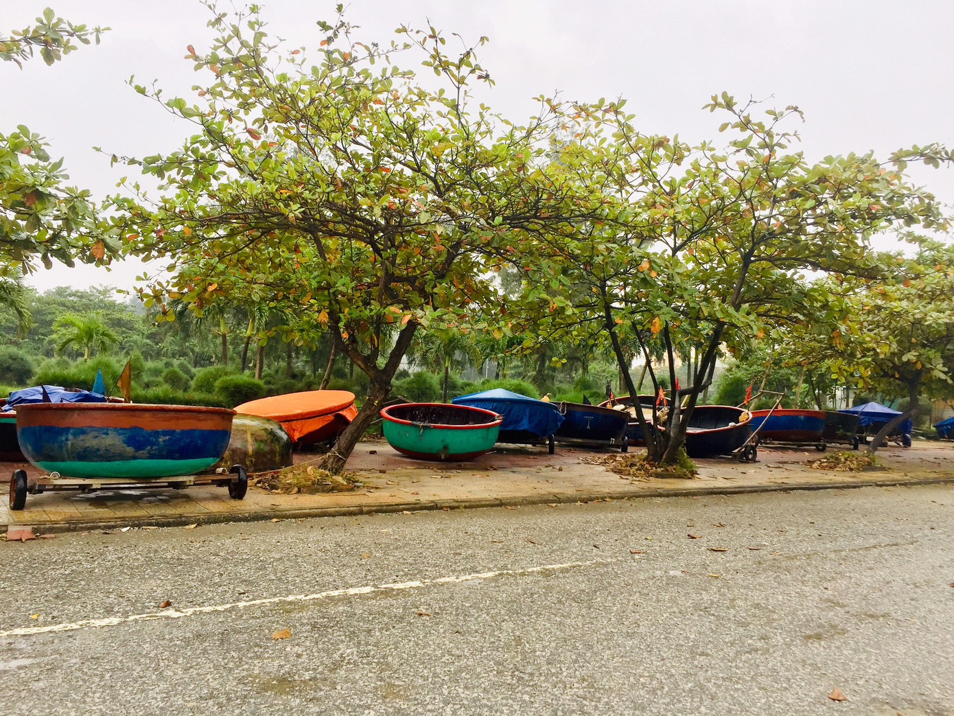 Ngư dân Nghệ An tập trung ứng phó bão số 7 ảnh 3