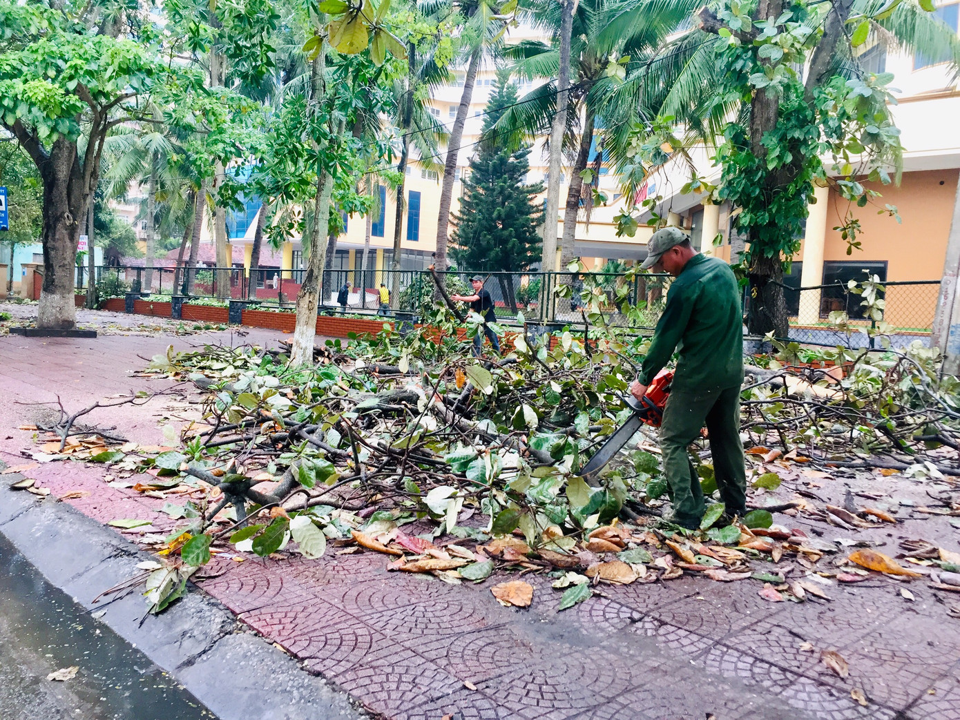 Ngư dân Nghệ An tập trung ứng phó bão số 7 ảnh 1