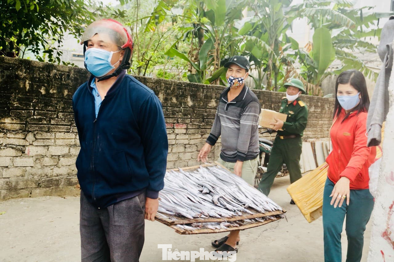 Ngư dân Nghệ An mang hàng tạ cá biển tươi đến ủng hộ khu cách ly tập trung ảnh 4