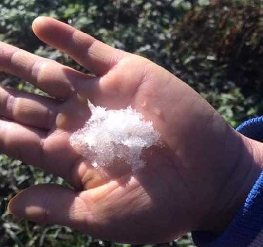 Băng giá phủ kín rừng cây bãi cỏ ở huyện biên giới Nghệ An ảnh 11