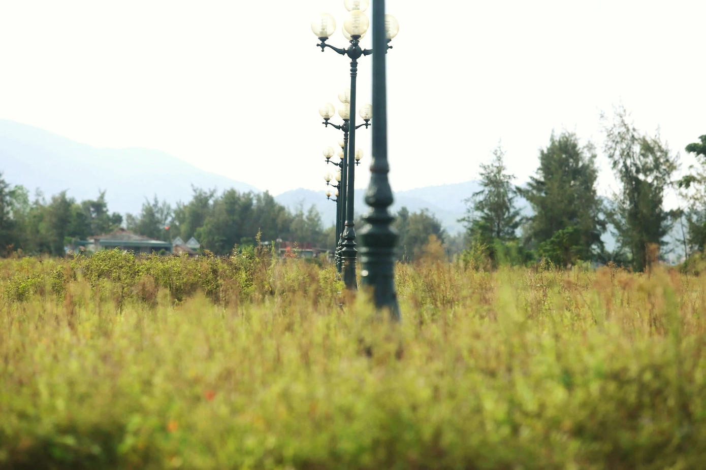 Nhếch nhác tượng đài hơn 40 tỷ bỏ hoang thành nơi chăn thả bò ảnh 3