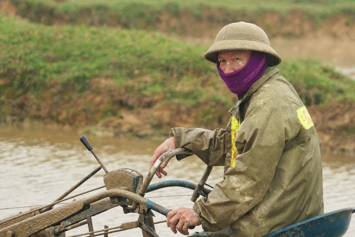 Người dân xuống ruộng làm mùa giữa trời rét 'cắt da, cắt thịt' ảnh 3