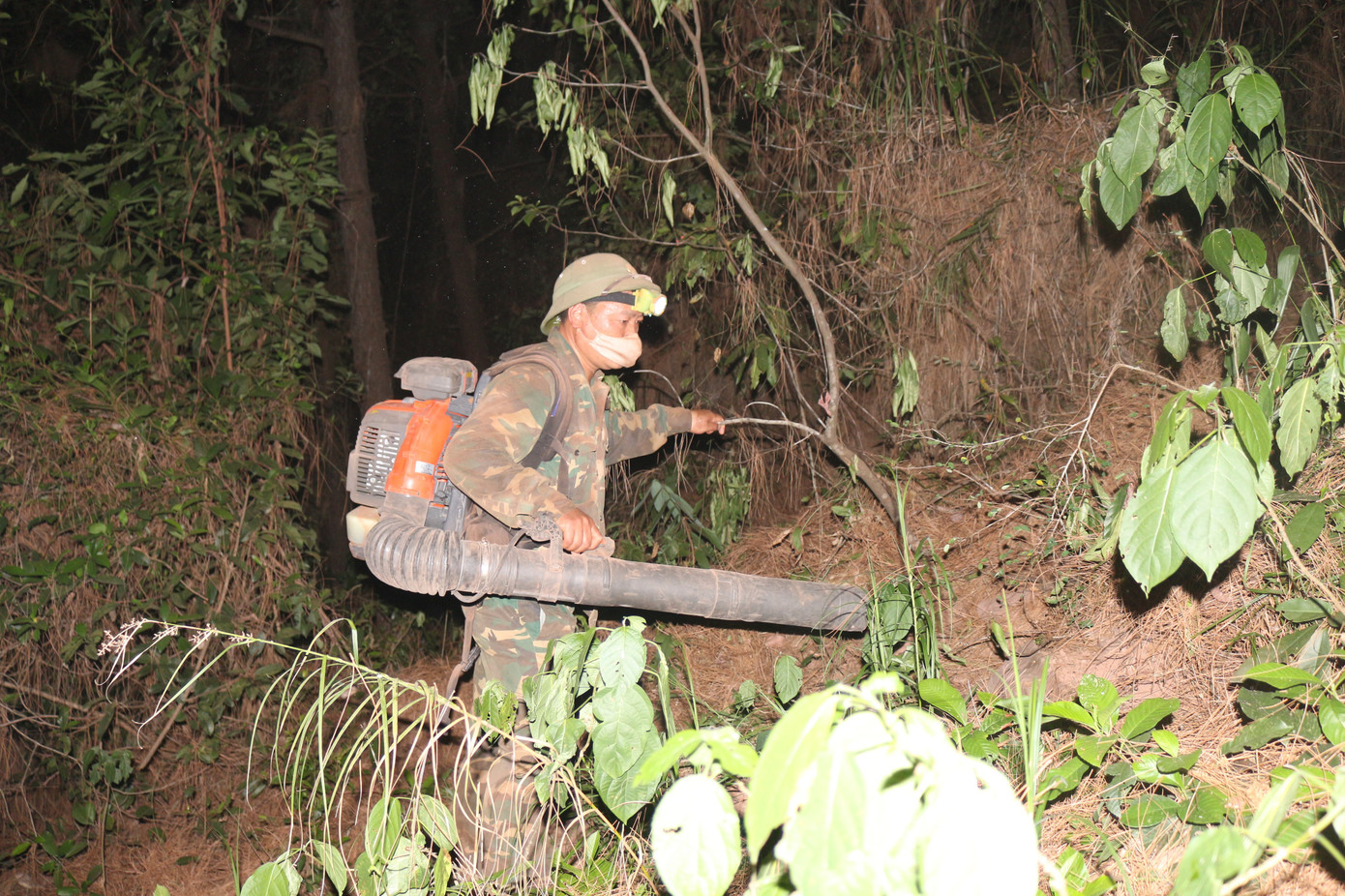 Trắng đêm cắt đường băng ngăn lửa “nuốt” rừng ảnh 9